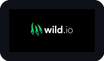 Wild.io Casino